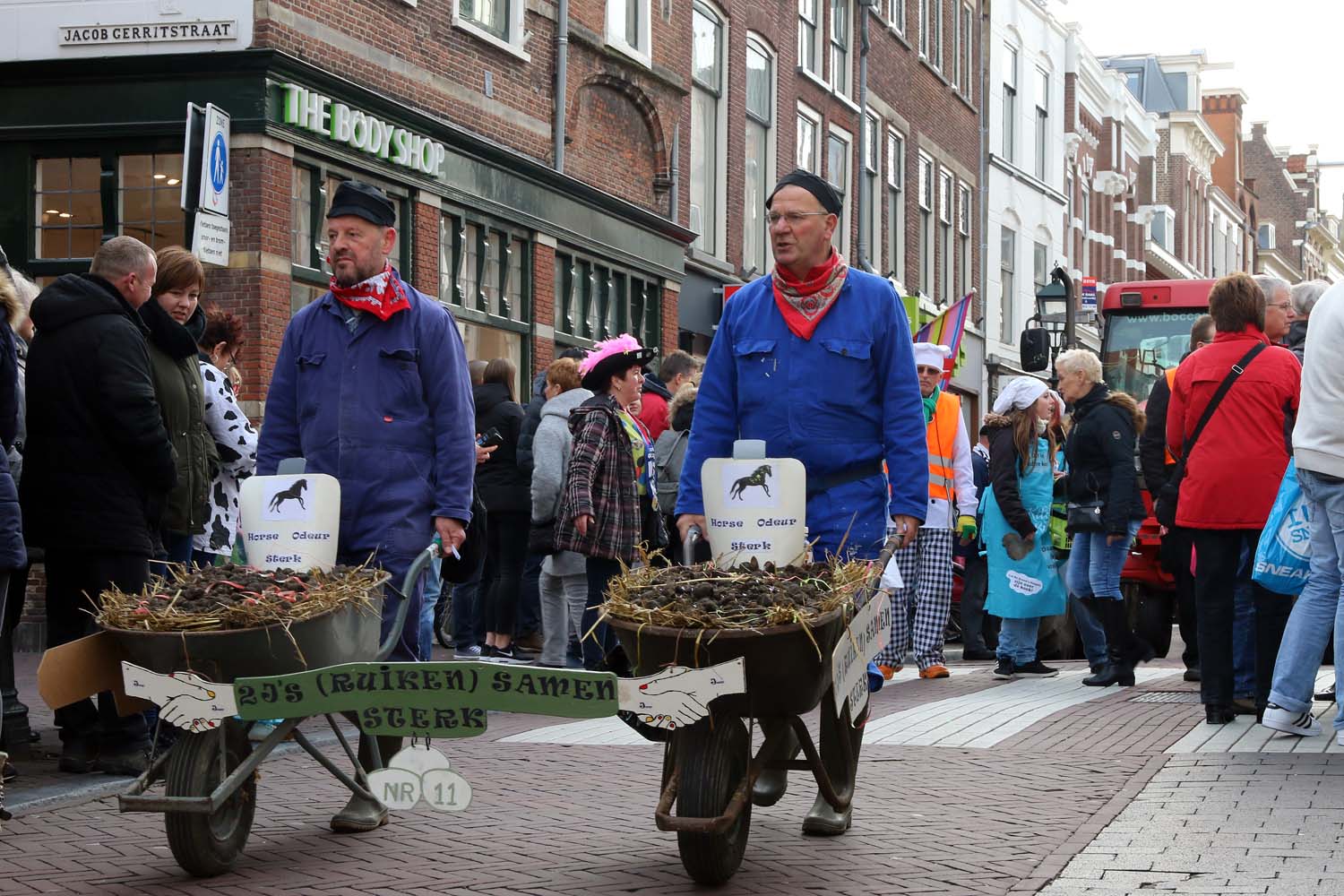 Carnavalsoptocht Delft - 25 februari 2017