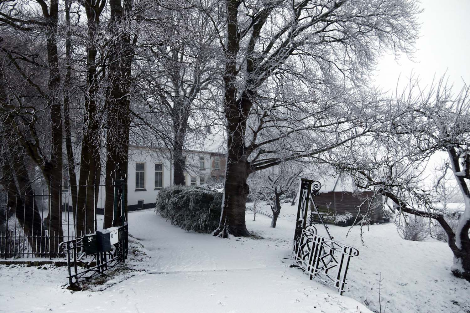 Winter in Midden-Delfland